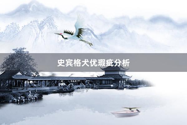 史宾格犬优瑕疵分析