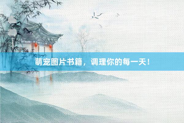 萌宠图片书籍，调理你的每一天！